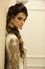 Load image into Gallery viewer, Indo Western Saree Gown With Weaved Dupatta in New York