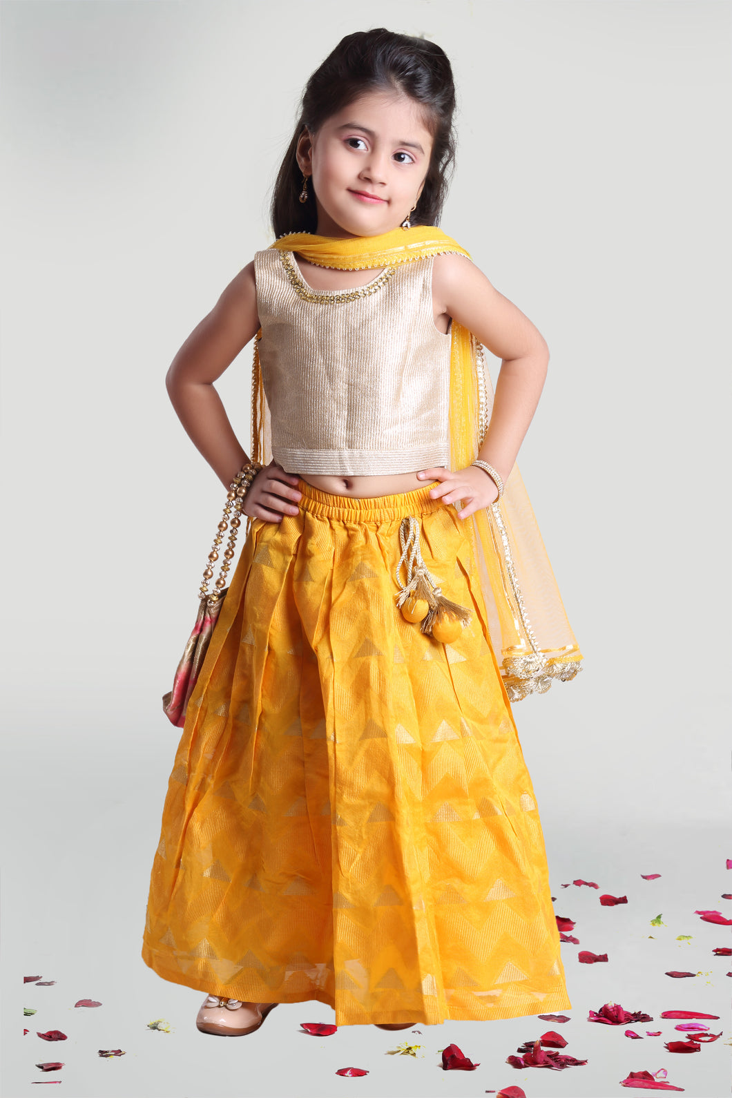 Girls Pleated Skirt And Choli Set For Girls With Dupatta