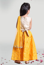 Load image into Gallery viewer, Girls Pleated Skirt And Choli Set For Girls With Dupatta