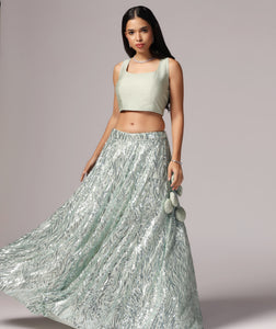 Pastel green Sequins Sparkle Lehnga Choli Dupatta