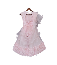 Load image into Gallery viewer, Girls Baby Pink Embroidery Choli With Baby Pink Lehenga