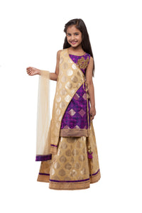 Girls Gold Lehenga With Brocade Blouse And Hand Embroidered Motif