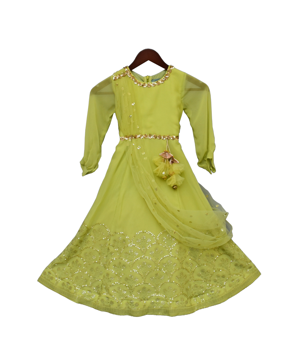 Girls Light Green Embroidery Georgette Anarkali