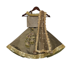 Girls Olive Green Embroidery Choli With Lehenga