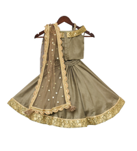 Load image into Gallery viewer, Girls Olive Green Embroidery Choli With Lehenga