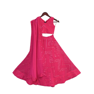 Girls Pink Embroidery Choli With Lehenga