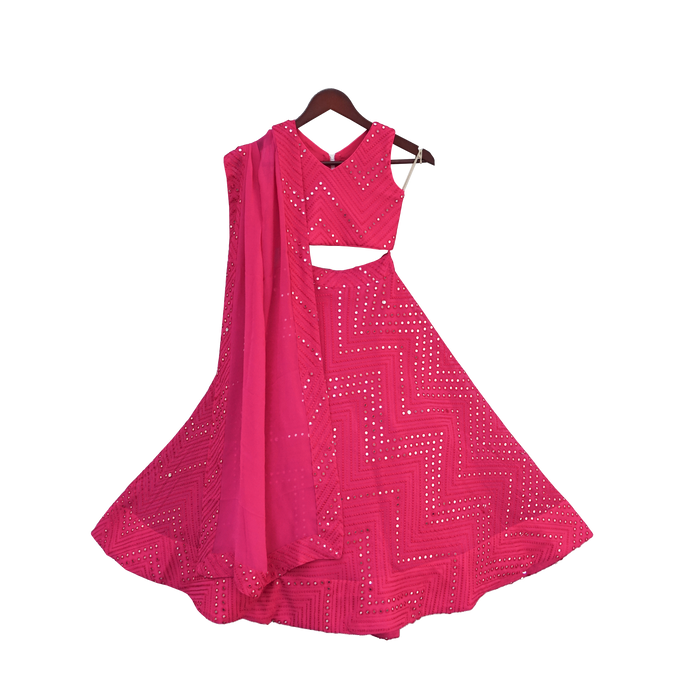 Girls Pink Embroidery Choli With Lehenga