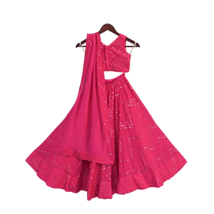 Girls Pink Embroidery Choli With Lehenga