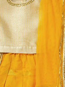 Girls Pleated Skirt And Choli Set For Girls With Dupatta